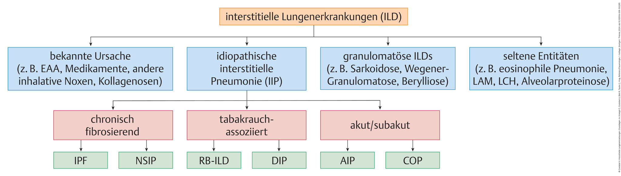 Abb.81.1Klassifikation-der-interstitiellen-Lungenerkrankungen